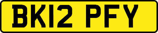 BK12PFY