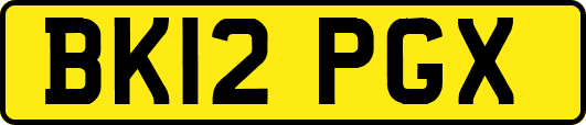 BK12PGX