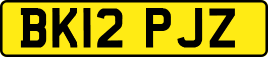 BK12PJZ