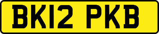 BK12PKB