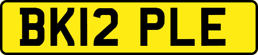 BK12PLE