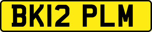 BK12PLM