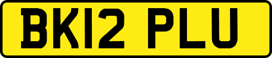 BK12PLU