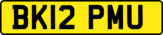 BK12PMU