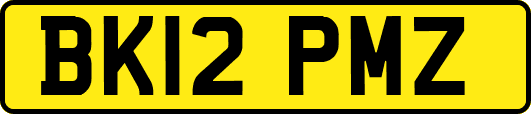 BK12PMZ