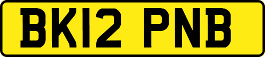 BK12PNB