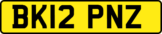 BK12PNZ