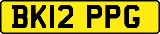 BK12PPG