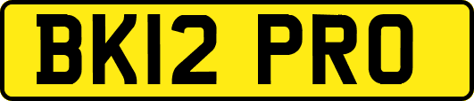 BK12PRO