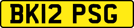 BK12PSG