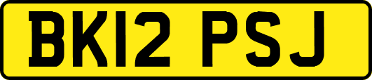 BK12PSJ