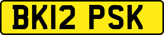 BK12PSK