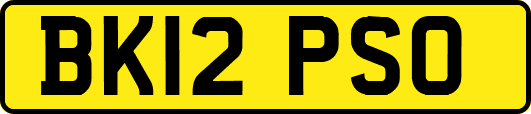 BK12PSO