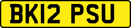 BK12PSU