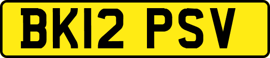 BK12PSV