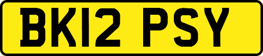 BK12PSY
