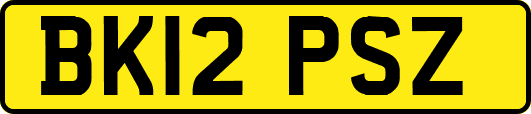 BK12PSZ