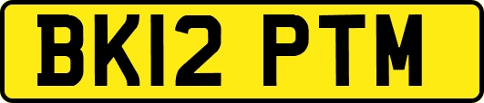 BK12PTM