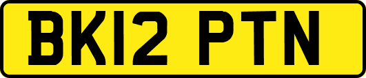 BK12PTN