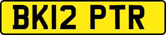 BK12PTR