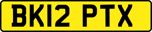 BK12PTX