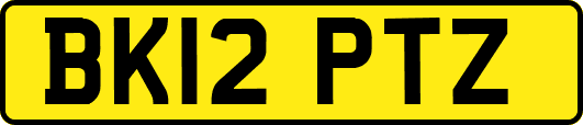 BK12PTZ