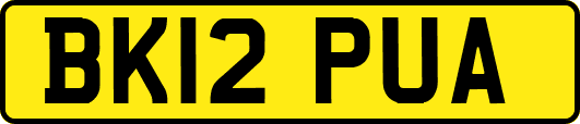 BK12PUA
