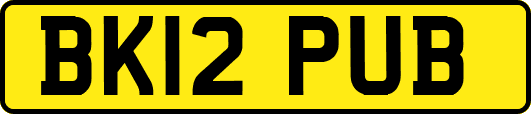 BK12PUB