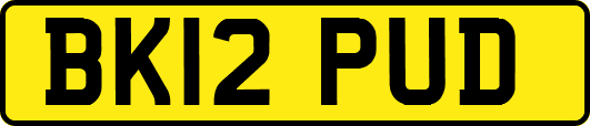 BK12PUD