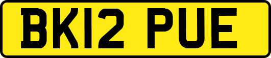 BK12PUE