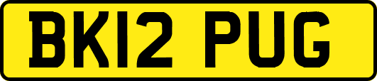 BK12PUG
