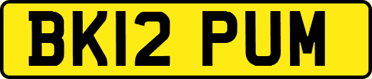 BK12PUM