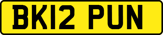 BK12PUN