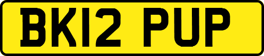 BK12PUP