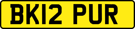 BK12PUR
