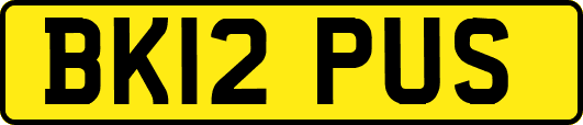 BK12PUS