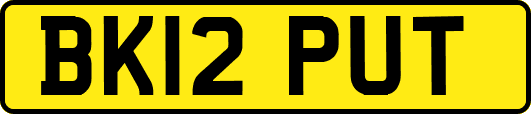 BK12PUT