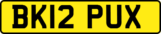 BK12PUX