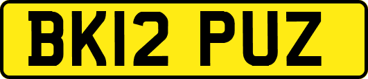 BK12PUZ