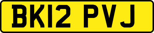 BK12PVJ