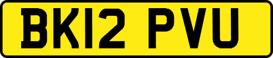 BK12PVU