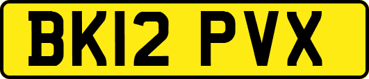 BK12PVX
