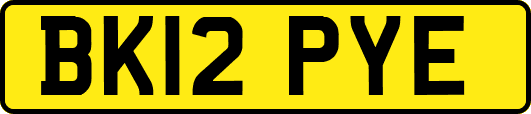 BK12PYE