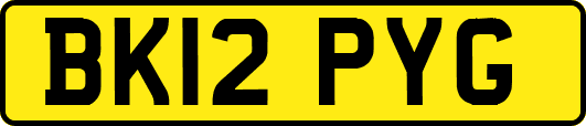 BK12PYG