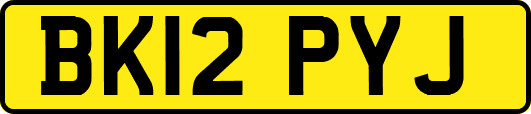 BK12PYJ