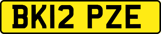 BK12PZE