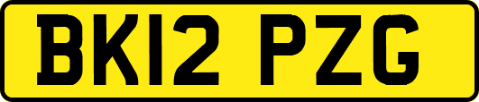 BK12PZG