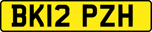 BK12PZH