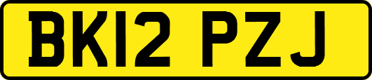 BK12PZJ