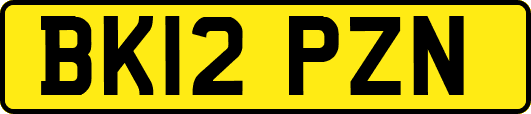 BK12PZN